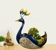 Elite Peacock Showpiece